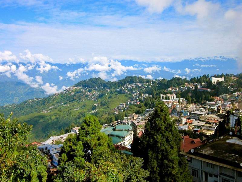 Tea Trails and Mountain Mornings: Darjeeling Unveiled